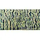 Shibori . Natural Color Cotton Fabric ~ 23 { Per meter }